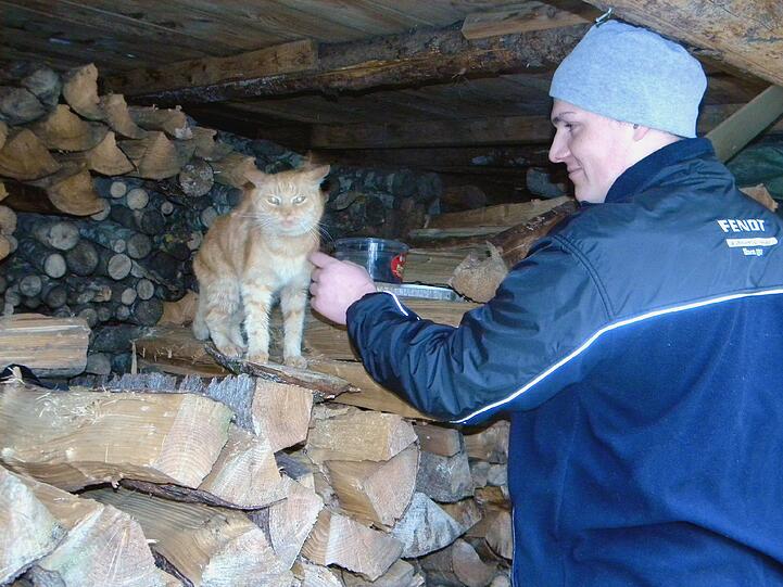 Vorsichtige Annäherung: Kilian Schöttel hat Kater Poldi in der Holzlege nahe Aying gefunden.
