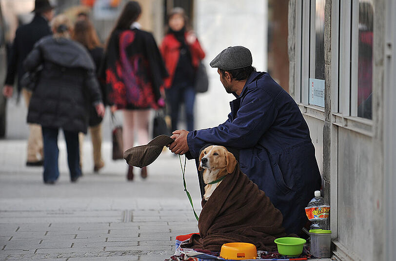 Manche Bettler setzen ihre Hunde bewusst unter Drogen, um besonders bemitleidenswert zu wirken. (Symbolfoto)