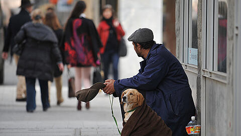 Manche Bettler setzen ihre Hunde bewusst unter Drogen, um besonders bemitleidenswert zu wirken. (Symbolfoto)
