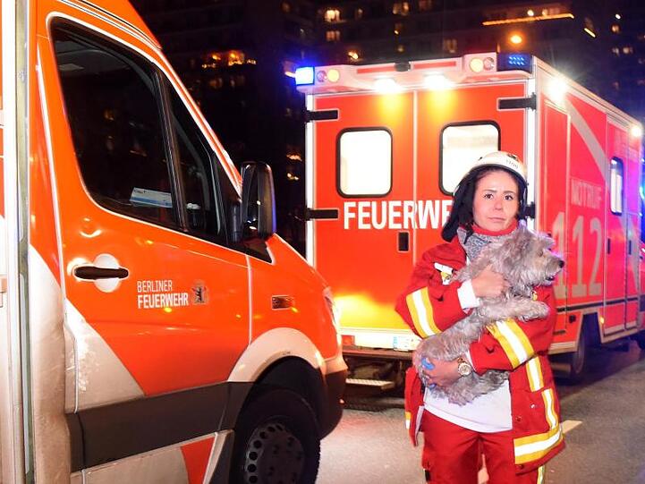 Der Vierbeiner wurde aus einer Wohnung von den Rettungskräften vor den Flammen gerettet.