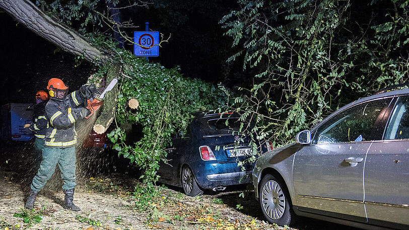 Herwart stürmt durch Deutschland - hier zersägen Feuerwehrleute in Hamburg eine umgestürzten Baum.