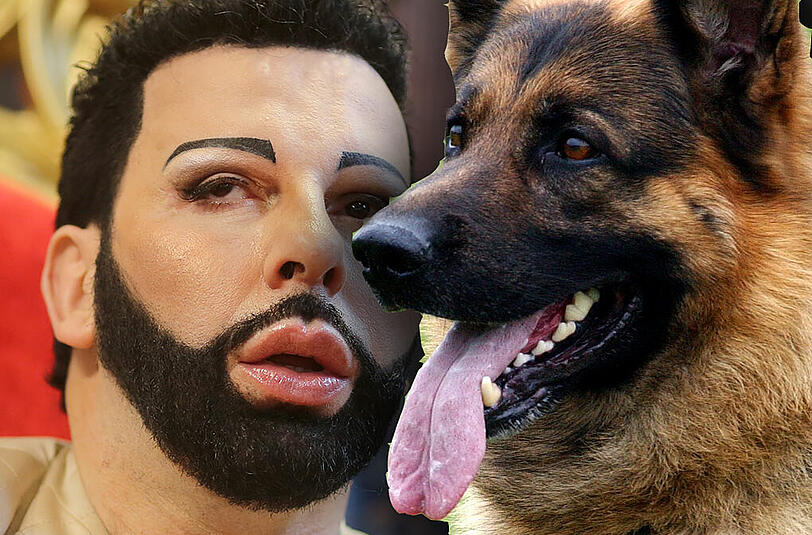 Von einem "riesigen Schäferhund" ist Harald Glööckler gebissen worden (Symbolfoto)