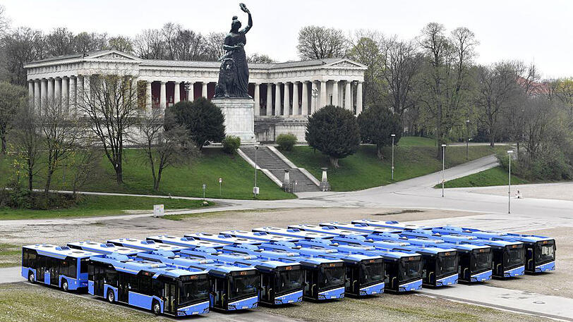 Die Bavaria blickt über die zehn neuen Bus-Züge der Münchner Verkehrsgesellschaft.