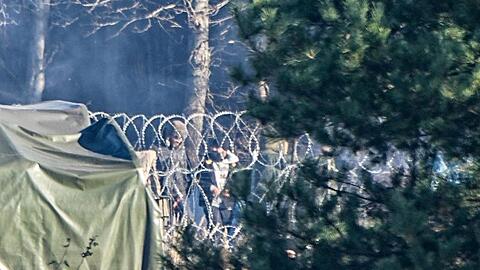 Migranten stehen an der Grenze zwischen Polen und Belarus nahe des Grenzübergangs Kusnica hinter Stacheldrahtrollen.