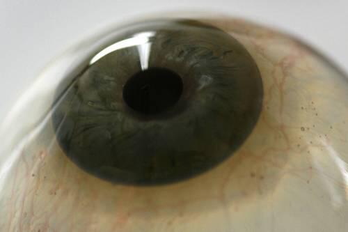Hoch komplex und sehr verwundbar: das menschliche Auge.