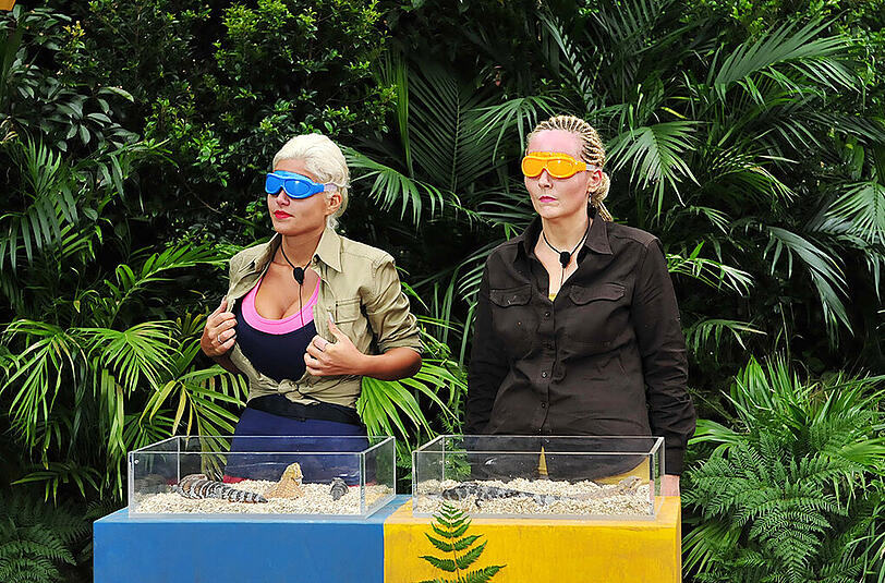 Die Bilder vom zweiten Dschungelprüfungs-Duell zwischen Sophia Wollersheim und Helena Fürst. Am Ende konnte sich Sophia mit einem Stern Vorsprung durchsetzen. Für die Bewohner des Camps "Snake Rock" gibt es also nur Reis und Bohnen.