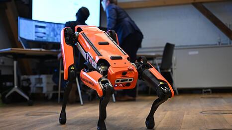 &Auml;hnliche Roboter kamen auch am Hamburger Hafen zum Einsatz. (Archivbild)