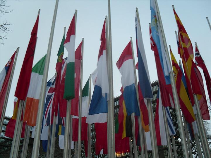 Flagge bekennen für Europa: am Boden oder als Fähnchen im Wind!