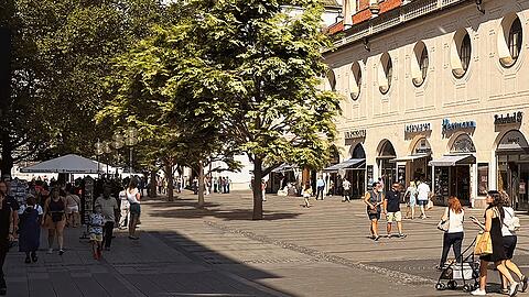 So grün könnte die Münchner Fußgängerzone eines Tages aussehen. Ab Ende 2026 will die Stadt dort Bäume pflanzen.