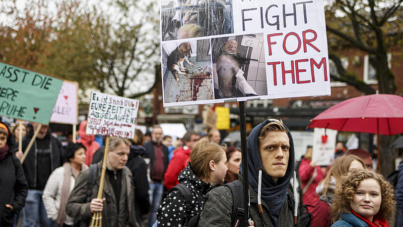 Wie hier in Hamburg demonstrieren im Herbst 2019 Tausende Menschen in Deutschland gegen die Tierversuche des Unternehmens LPT.