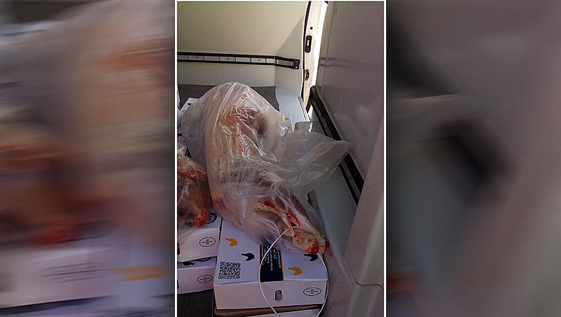 Das Fleisch lag ungekühlt und offen im Laster des Supermarktbesitzers. Das Fleisch lag ungekühlt und offen im Laster des Supermarktbesitzers.