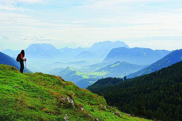 Von der Ackneralm schweift der Blick über das Thierseer Tal rüber zum Zahmen und Wilden Kaiser (Archivbild). Von der Ackneralm schweift der Blick über das Thierseer Tal rüber zum Zahmen und Wilden Kaiser (Archivbild).