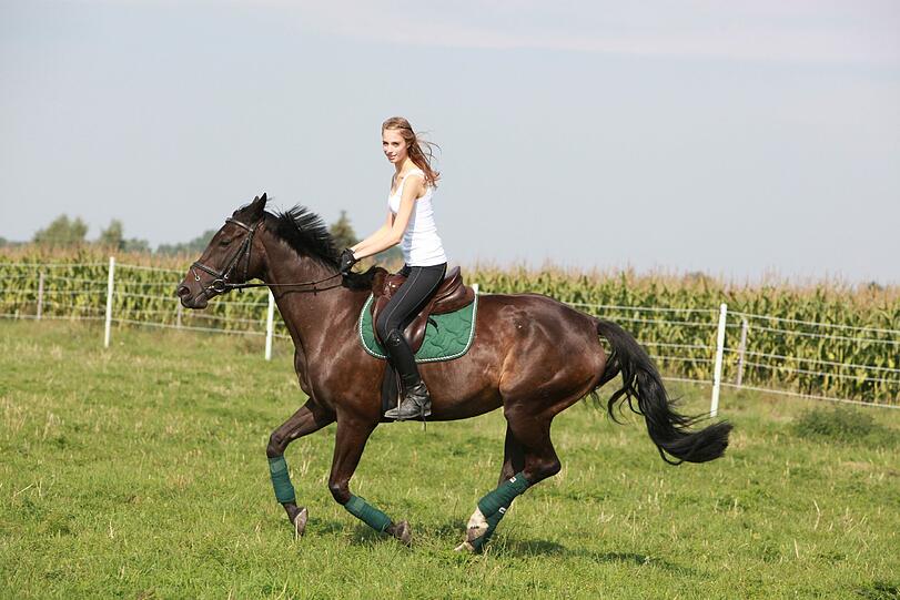 Marie Scherbinek ist die fünfte Finalistin der Schönen Münchnerin 2013. Die Bilder vom Shooting: