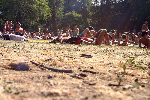 Sonnenbaden auf dürrem, vertrockneten Gras: So werden die kommenden Sommer in Franken aussehen.