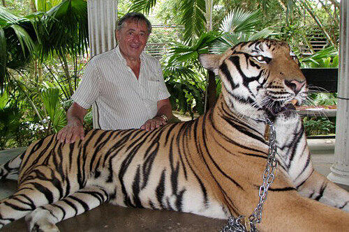 "Tigerchen" - das wäre wohl auch ein schöner Name.