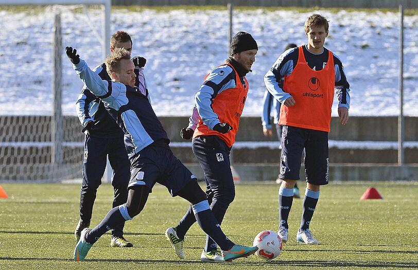 Die Löwen im Trainingslager in Brescia.