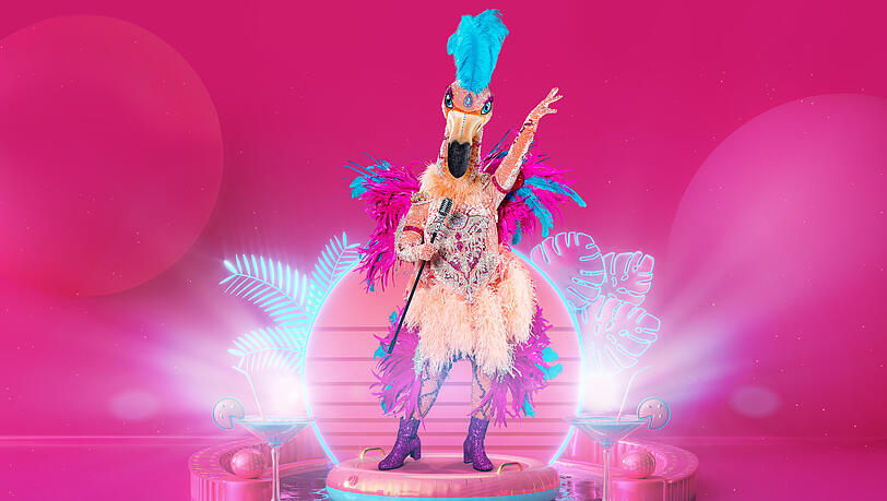 Ein prominenter Paradiesvogel steckte im Kostüm des Flamingos bei "The Masked Singer" 2021: Es war Ross Antony.