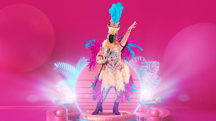 Ein prominenter Paradiesvogel steckte im Kostüm des Flamingos bei "The Masked Singer" 2021: Es war Ross Antony.