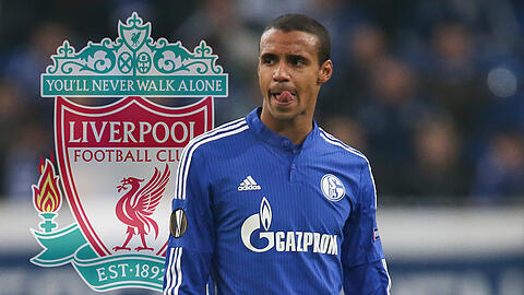Den Schalker Joel Matip zieht es im kommenden Sommer in die Premier League.