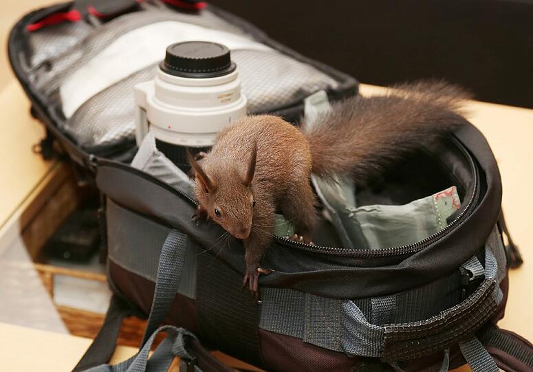 Spannend! Nanni untersucht die Ausrüstung von AZ-Fotograf Sigi Müller.