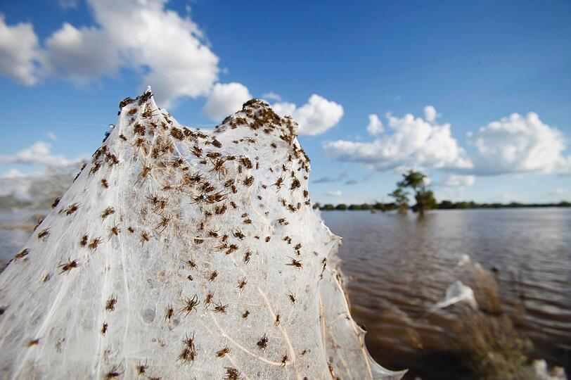 Mehr als 9000 Bewohner wurden aufgefordert, ihre Häuser zu verlassen. Tausende Familien sitzen in Ost-Australien nach den stärksten Regenfällen seit den 1920er Jahren bereits in Notunterkünften. In den vergangenen Tagen hatten nach Behördenangaben rund 5000 Menschen ihr Zuhause verlassen müssen. Das Flutdrama in forderte bislang zwei Todesopfer.