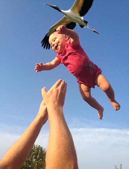 Die Babys werden also doch vom Storch gebracht!