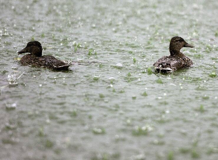 Unwetter, Gewitter, Sturm und Hagel über Deutschland: Die Bilder vom Hitze-Gewitter in der Nacht zum Freitag