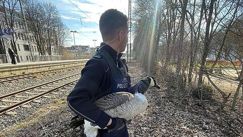 Der Beamte packte beherzt zu.