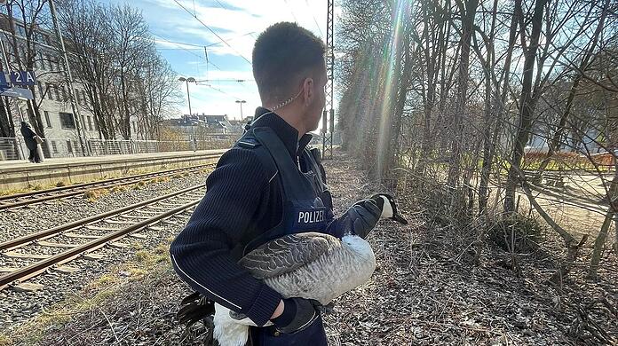 Der Beamte packte beherzt zu.