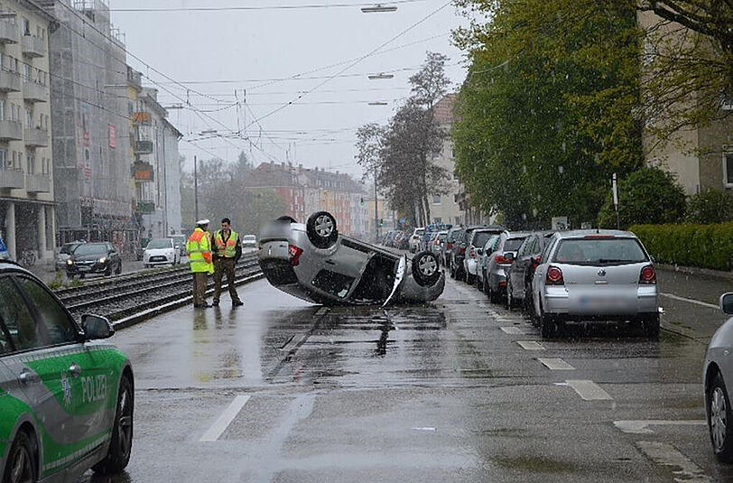 Vier Autos waren Schrott. Hauptsache das Tier kam unbeschadet davon.