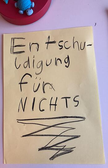 Immer schön konkret argumentieren, so übt man's ja schließlich in der Schule: Leander (9) entschuldigt sich bei seiner Schwester.