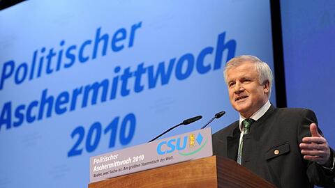 Kritik für die FDP: &bdquo;Das ist kein Tsunami, das ist nur eine Westerwelle&ldquo;.