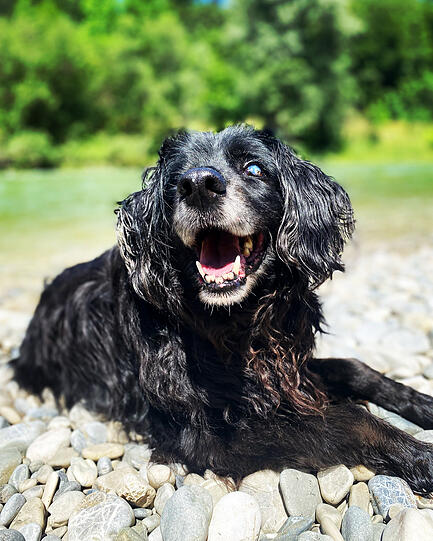 Charlie