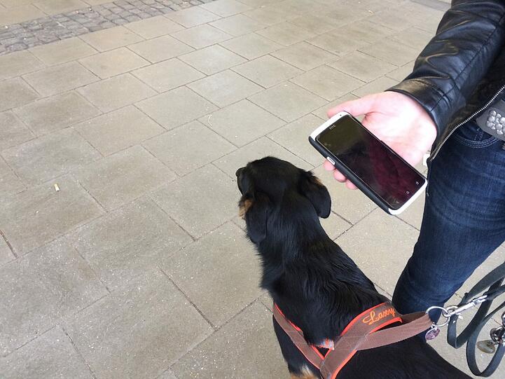 Die 16-jährige Lena hatte das Smartphone beim Spaziergang mit ihrem Hund im Englischen Garten verloren. Dank der weißen Suchzettel hat sie ihr Handy wieder.