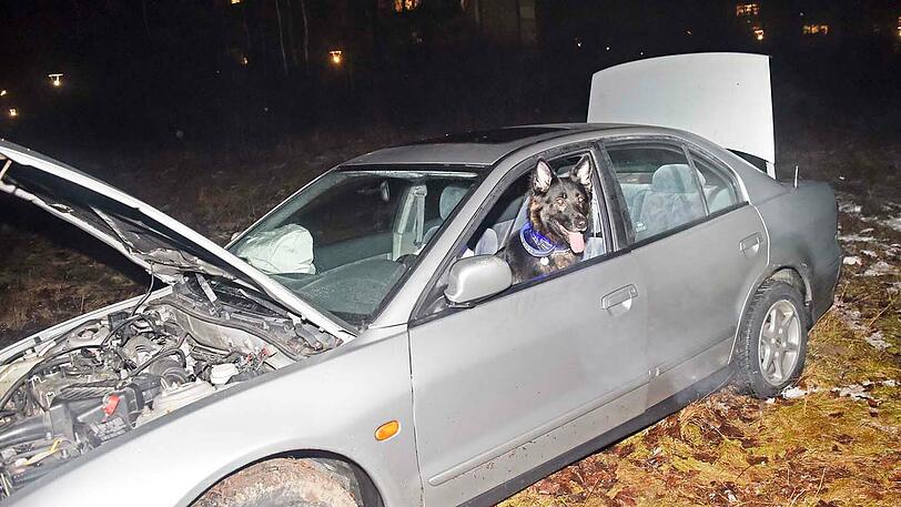 Im Einsatz war auch Polizeihund "Carry"- er durchsuchte das Auto auf Drogen.
