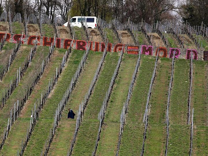 Ein Graffiti mit dem Text "Abschiebung = Mord" ist an einer Weinbergsmauer in der Weinlage Am Stein zu sehen. Foto: Karl-Josef Hildenbrand