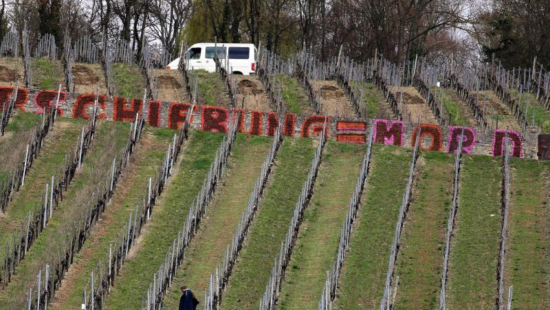 Ein Graffiti mit dem Text "Abschiebung = Mord" ist an einer Weinbergsmauer in der Weinlage Am Stein zu sehen. Foto: Karl-Josef Hildenbrand Ein Graffiti mit dem Text "Abschiebung = Mord" ist an einer Weinbergsmauer in der Weinlage Am Stein zu sehen. Foto: Karl-Josef Hildenbrand