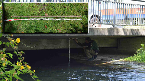 An dieser Brücke kam es zum Unfall. Im kleinen Bild: Der Holzstab, der sich in die Brust des Studenten bohrte.