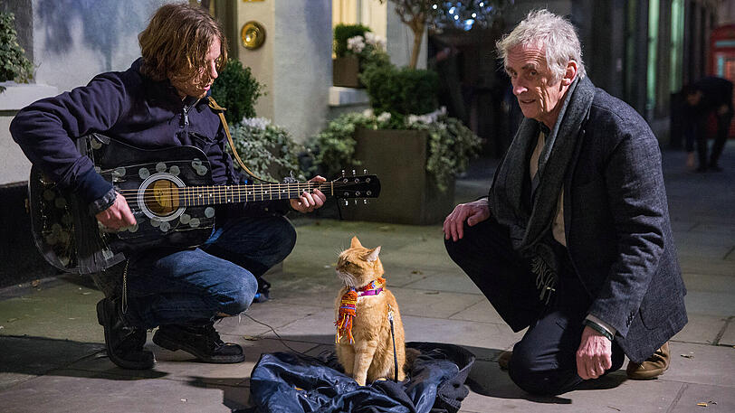 Luke Treadaway (James) mit dem &bdquo;originalen&ldquo; Bob und einem Passanten (gespielt von Regisseur Roger Spottiswoode).