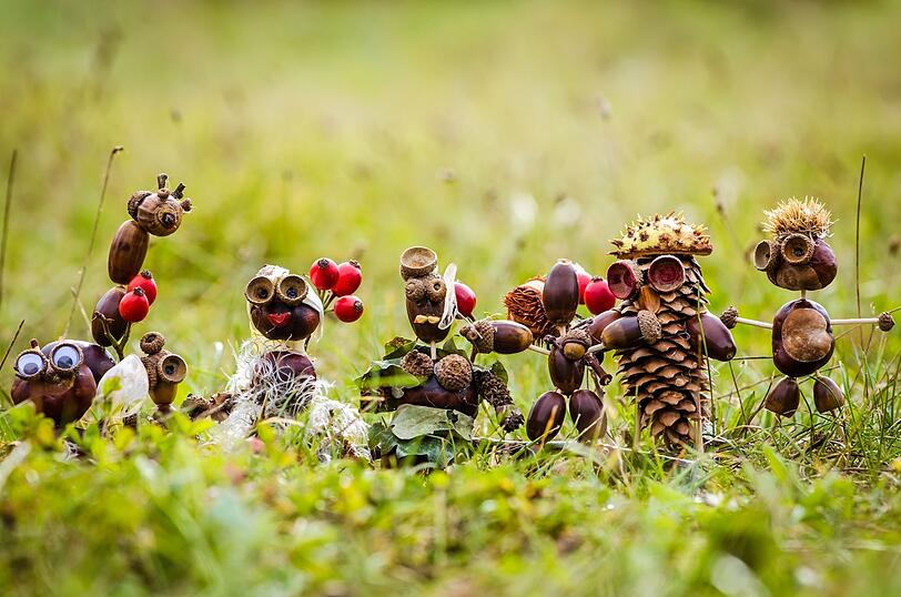 Herbstzeit ist auch Kastanienzeit und das wird vor allem die Kinder freuen. Also Schmuddelkleidung anziehen und nach Lust und Laune Kastanien sammeln. Zu Hause kann man damit dann auch noch kreativ werden und zum Beispiel Kastanienmännchen basteln. Herbstzeit ist auch Kastanienzeit und das wird vor allem die Kinder freuen. Also Schmuddelkleidung anziehen und nach Lust und Laune Kastanien sammeln. Zu Hause kann man damit dann auch noch kreativ werden und zum Beispiel Kastanienmännchen basteln.