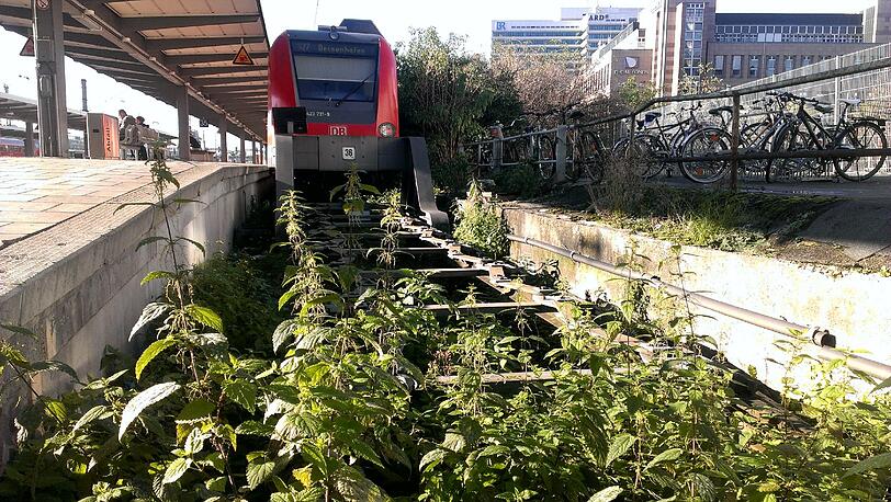 Invasion der Brennnesseln: Ein Gleis am Starnberger Flügelbahnhof.