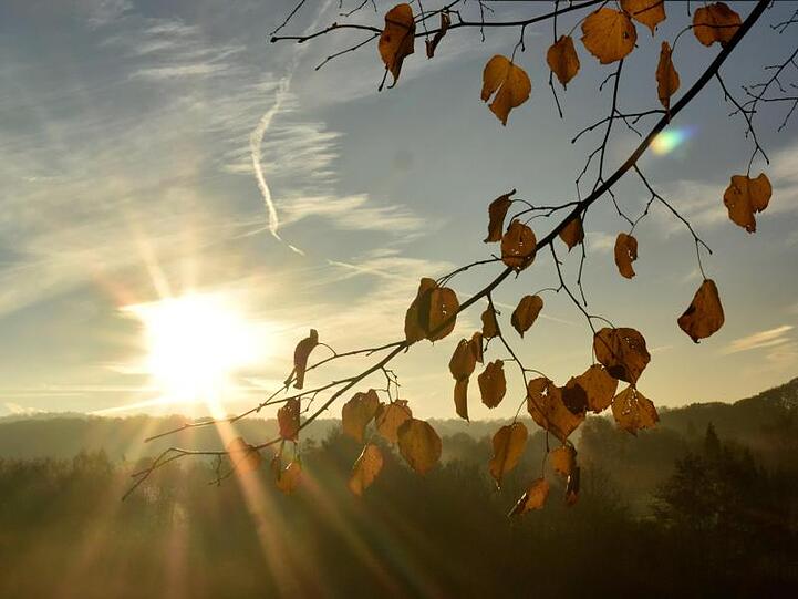 Die Sonne geht bei Morgennebel hinter herbstlich verfärbten Blättern eines Baumes auf. Foto: Bernd Thissen/dpa