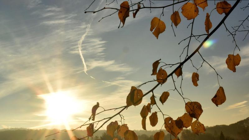 Die Sonne geht bei Morgennebel hinter herbstlich verfärbten Blättern eines Baumes auf. Foto: Bernd Thissen/dpa Die Sonne geht bei Morgennebel hinter herbstlich verfärbten Blättern eines Baumes auf. Foto: Bernd Thissen/dpa