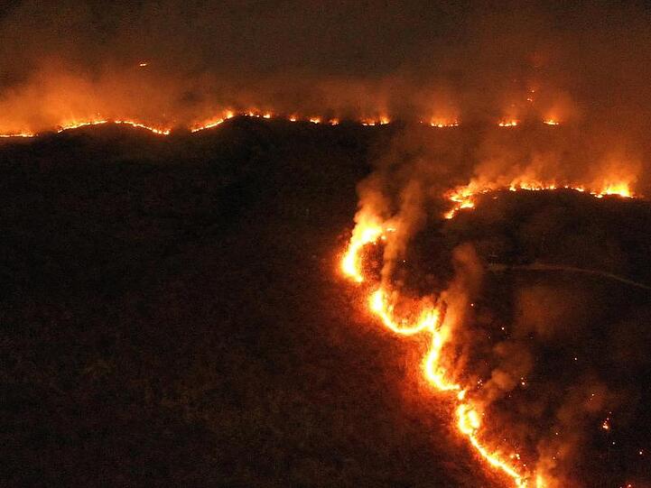 Massive Waldbrände wüten im Amazonasgebiet und den angrenzenden Steppengebieten.