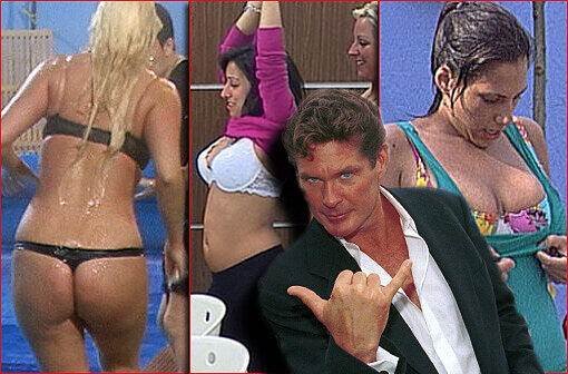 Im Big Brother Container geht es erfahrungsgemäß heiß her. Ähnliche Szenen könnten David Hasselhoff im Promi-Container erwarten.