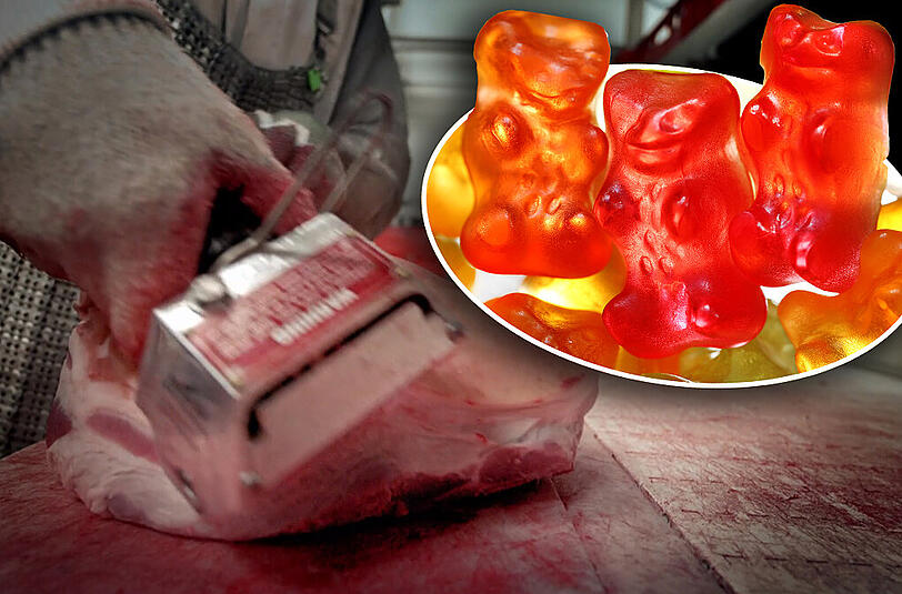 So bunt und farbenfroh wie die Gummibärchen auch aussehen: Gelatine-Herstellung ist nichts fürs Auge.