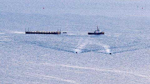 Transport mit ungewissem Ausgang: Wal wird Richtung Nordsee gebracht