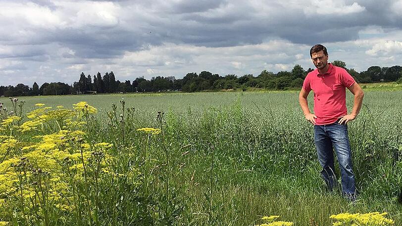 Der Daglfinger Landwirt Hans Oberfranz auf seinem Haferfeld am Lebermoosweg. Hier soll gebaut werden. Er ist einer der vielen Anwohner, die die Stadtentwicklungsmaßnahme im Nordosten kritisch sieht.