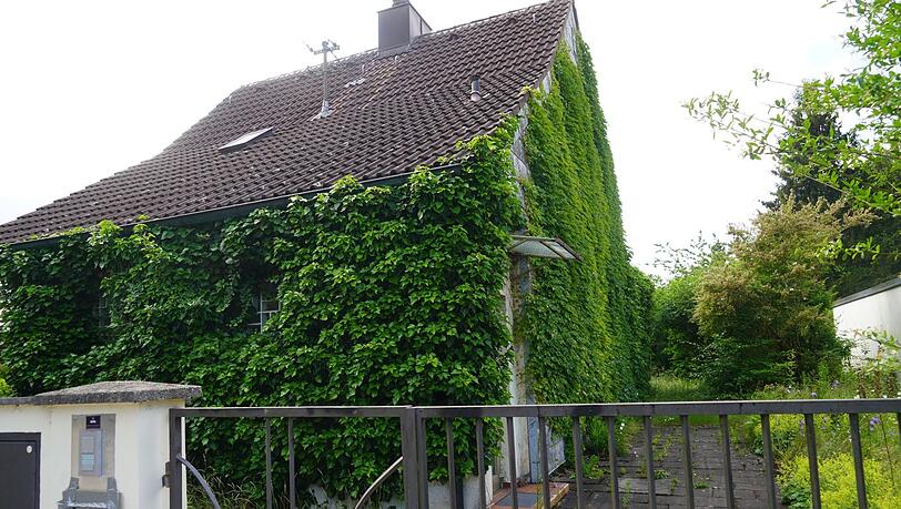 Ebenfalls verwildert: die Haldenbergstraße 43. Ebenfalls verwildert: die Haldenbergstraße 43.