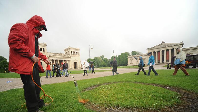 80 Jahre danach: Der Münchner Aktionskünstler Wolfram Kastner macht einen Brandfleck auf den Rasen am Königsplatz. Zum 81. Jahrestag wird eine Lesung am Odeonsplatz veranstaltet. 80 Jahre danach: Der Münchner Aktionskünstler Wolfram Kastner macht einen Brandfleck auf den Rasen am Königsplatz. Zum 81. Jahrestag wird eine Lesung am Odeonsplatz veranstaltet.